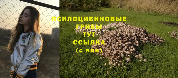 амф Арсеньев