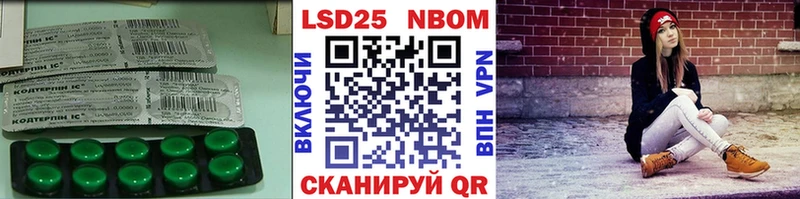 blacksprut вход  Магас  LSD-25 экстази ecstasy 