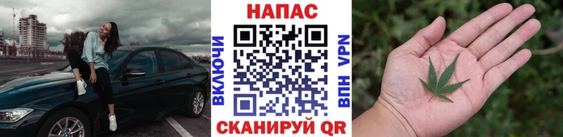 OMG   Магас  Конопля OG Kush 